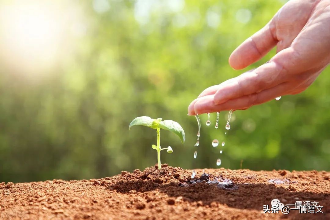 初中生写好作文必备技巧,初中生优秀满分作文600字带题目
