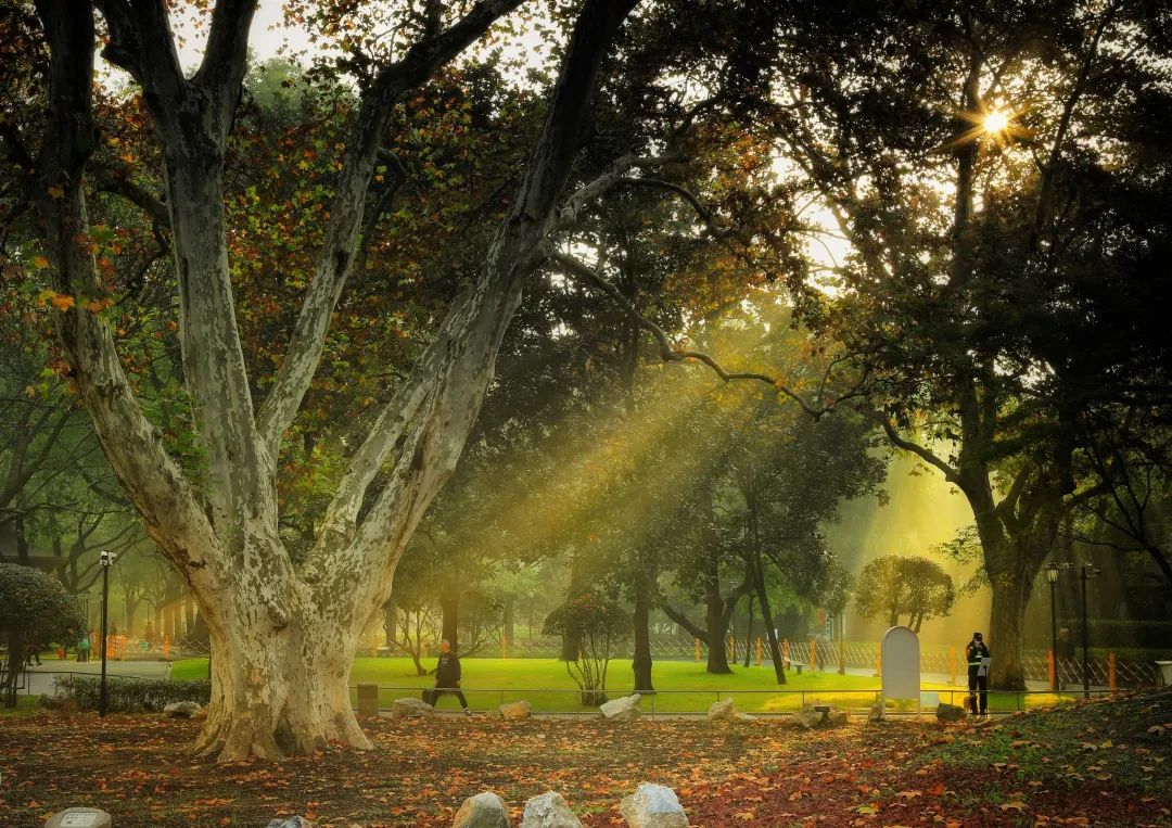 凝心聚力高质量发展,聚力高质量发展