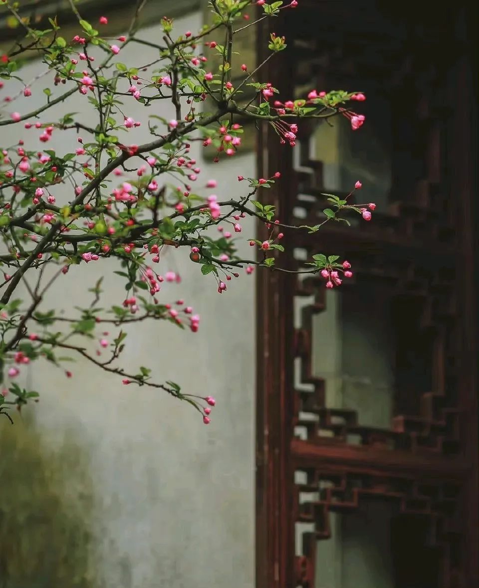 闂插潗绐楀墠鍑爮鍚洦,杞诲嵎鍗婂笜鍊氱獥鍚洦