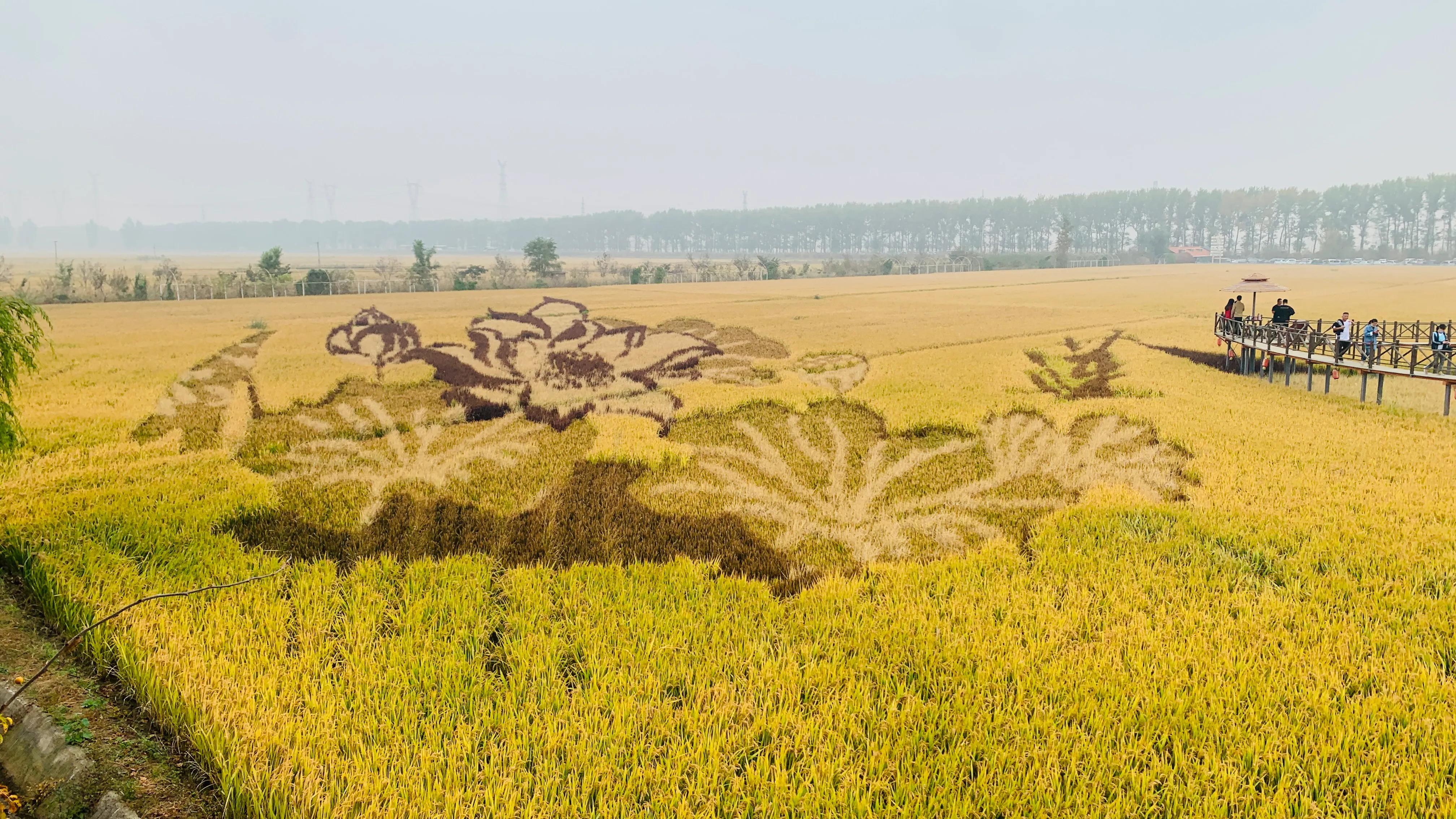 沈阳旅游景点稻梦空间,沈阳稻梦空间一日游攻略