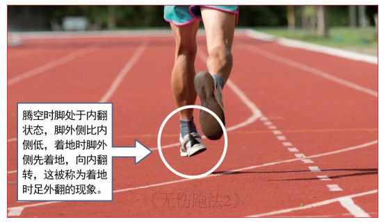 跑步跑鞋最全知识,跑者最想了解的跑步基本知识