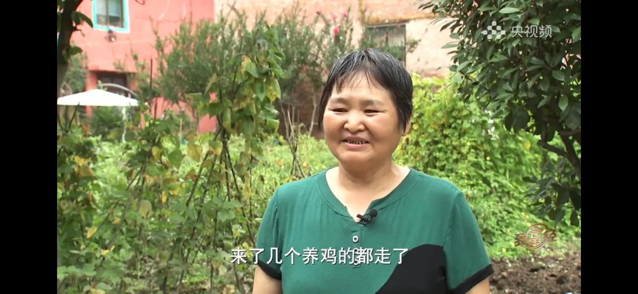 10万多只鸡养鸡场一年能挣多少,回村搞农业养殖一只鸡卖一万