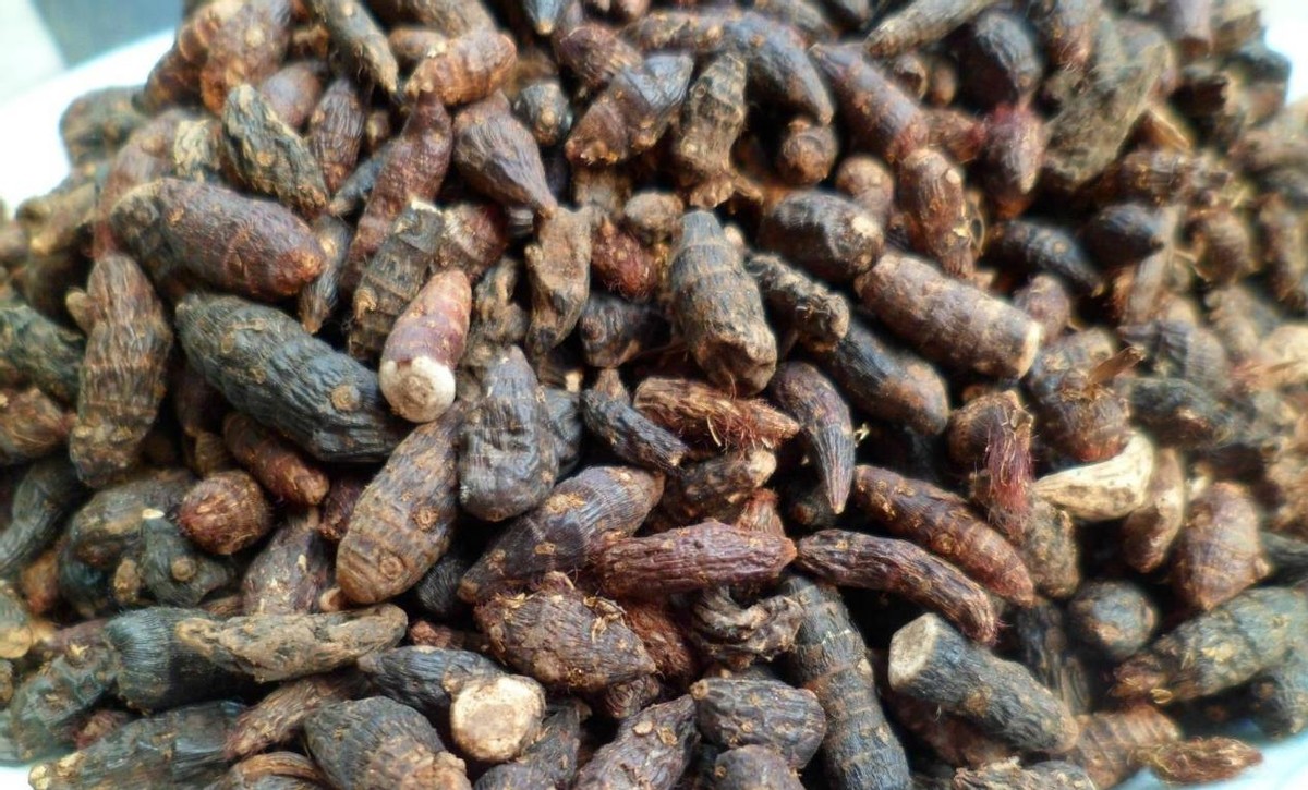 古代名医治疗脾肾阳虚验方,脾阳虚证的中医治法和方子