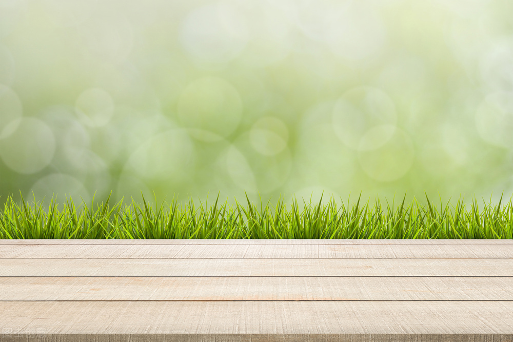 面板行业2023分析,面板行业的深度报告