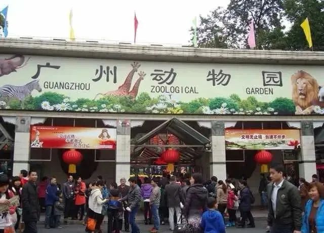五一广州动物园攻略自由行,五一游广州野生动物园