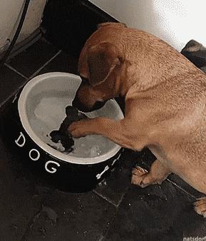 走路累了坐着歇一会,走累了坐下歇会怎么回事