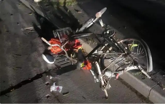 中国小伙报恩把瑞士房东接来养老,中国小伙为报恩接瑞士老人回国