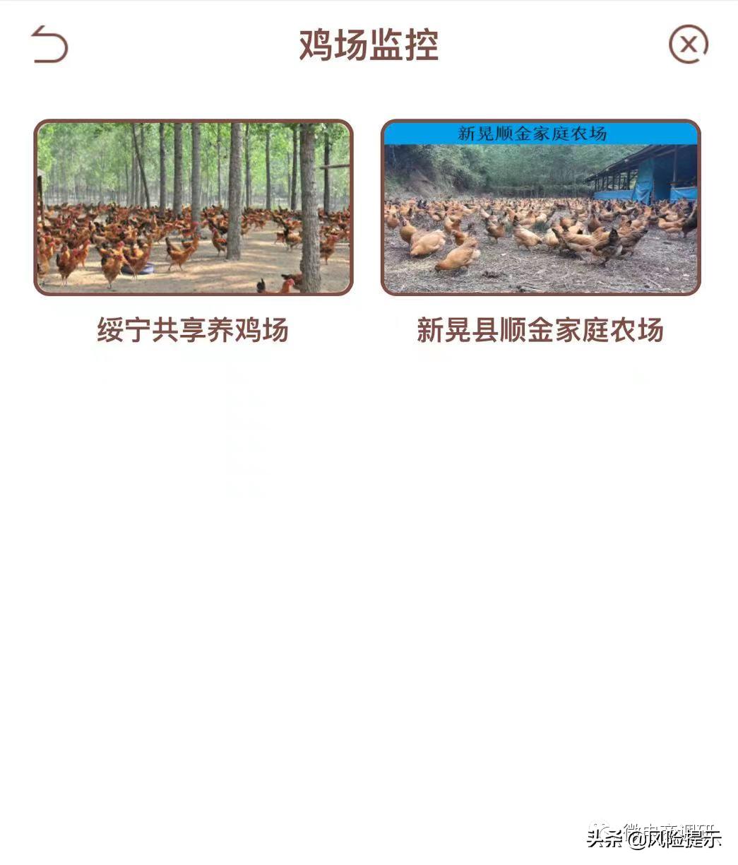 惠商在线养鸡好吗,惠商在线商业模式