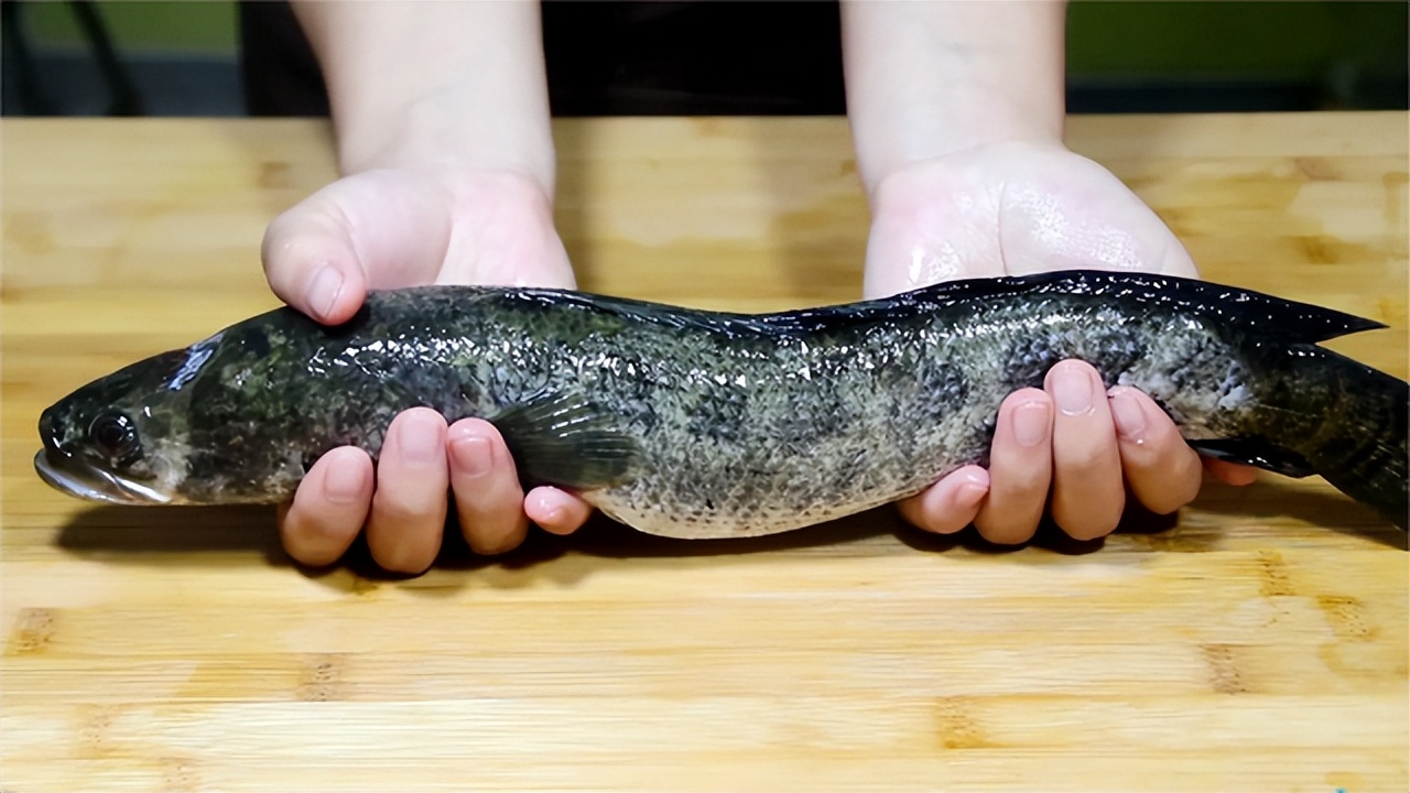 做黑鱼汤去腥味方法,做黑鱼汤的家常做法