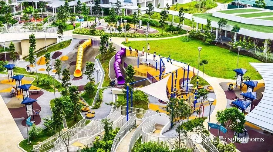 新加坡遛娃免费景点推荐一下,新加坡周末遛娃