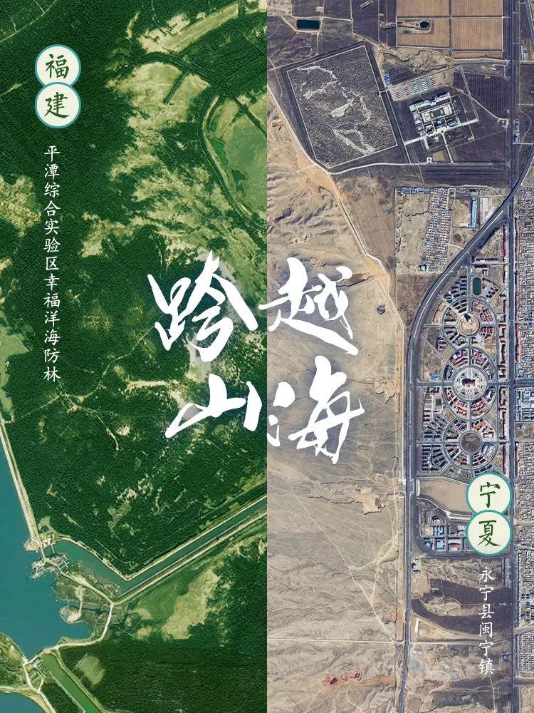 福建人有多能组cp,广东人嗑cp