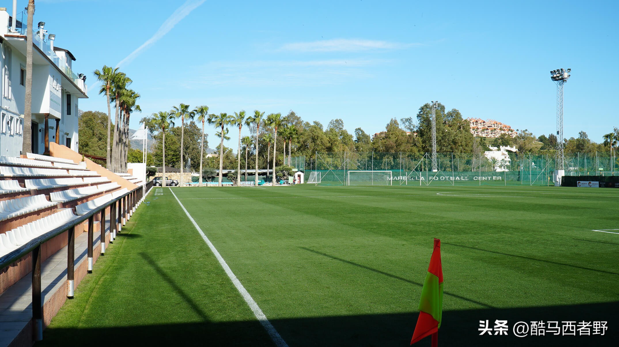 中国女足近期有热身赛吗,中国女足近期热身赛