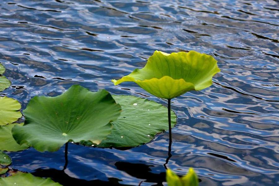 公众号1年涨粉500,短时间内公众号涨粉