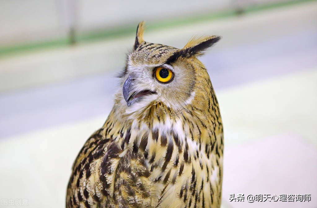 心理咨询的治疗原理