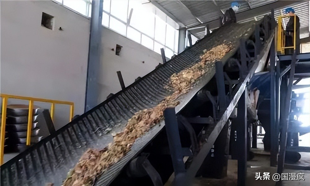 全国最大的蟑螂养殖基地在哪里,中国蟑螂养殖第一人