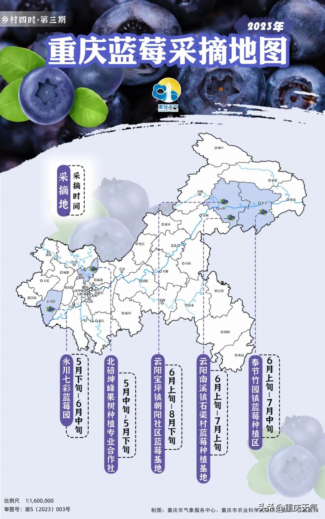 2023蓝莓采摘时间,重庆蓝莓采摘最佳时间