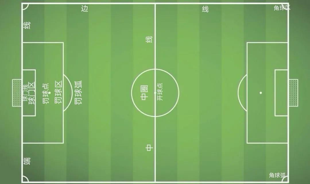 世界杯足球小知识动漫,世界杯足球知识了解