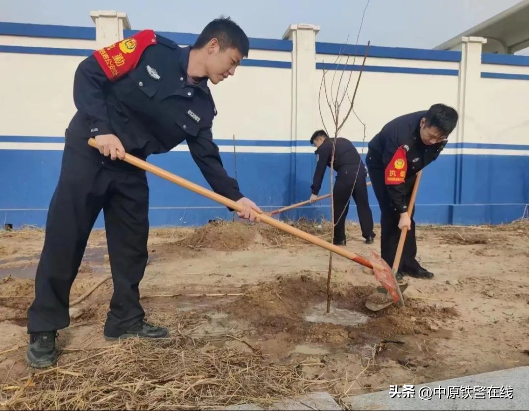 拥抱春天播种希望植树节手抄报,植树节拥抱春天播种梦想主题班会