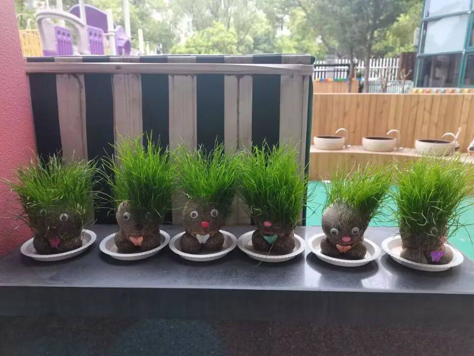 桐乡市庆安乐儿堡幼儿园,浙江省桐乡市庆安乐儿堡幼儿园