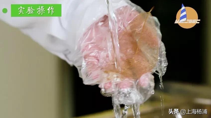 动手做一枚“叶脉书签”吧，好看又实用！【春节宅家手工】