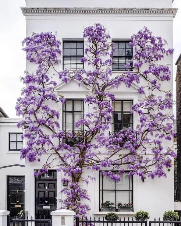 关于伦敦的句子,关于伦敦的歌曲