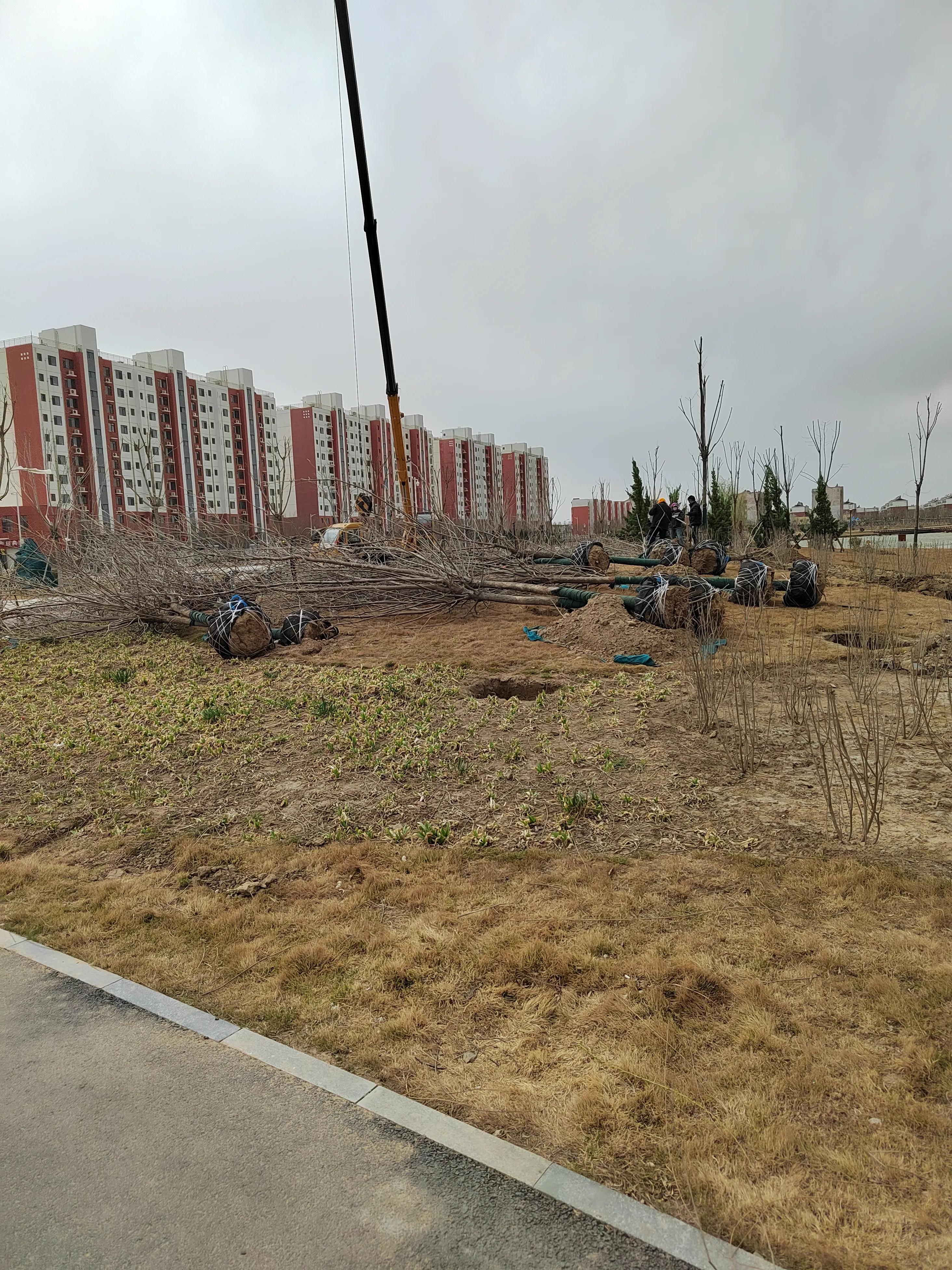 游东湖公园400字,游北山公园感悟