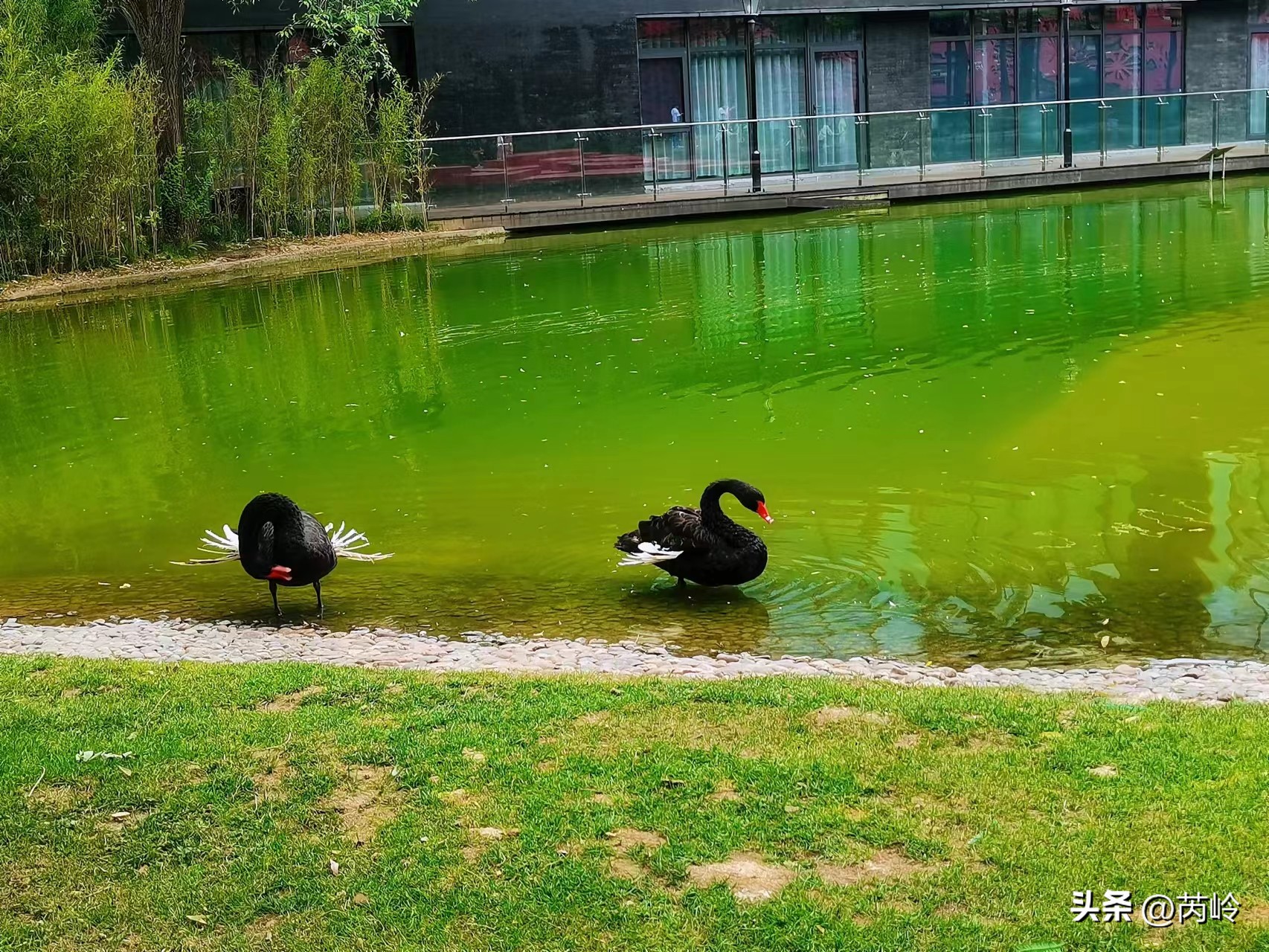 曲江寒窑遗址公园怎样预约门票,曲江寒窑遗址公园要在网上预约吗