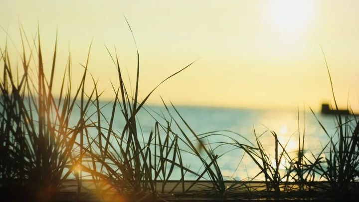 总是想很多事情好多年了,一个人总是想太多是什么原因