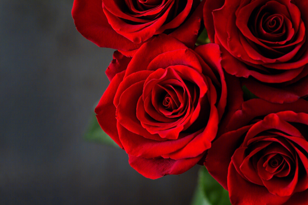 夏至口红,夏至的口红