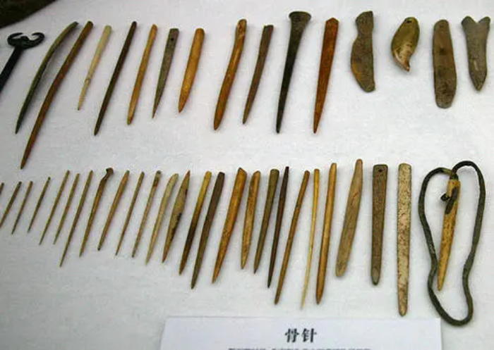 人类进化体毛为什么保留,脱毛血泪史解说