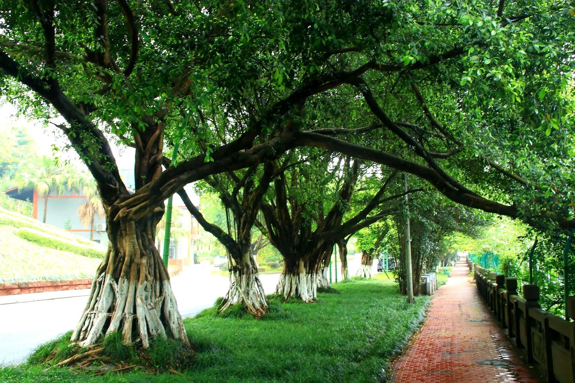 7个城市名字由来,每个城市简称的由来