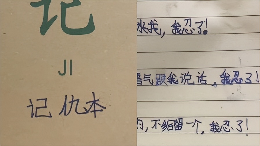 前有《记事本》今有《记仇本》，小本子里藏着父母不知道的大秘密