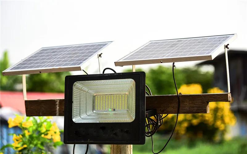 20万元在农村可以干些什么赚钱,农村年赚20万的项目