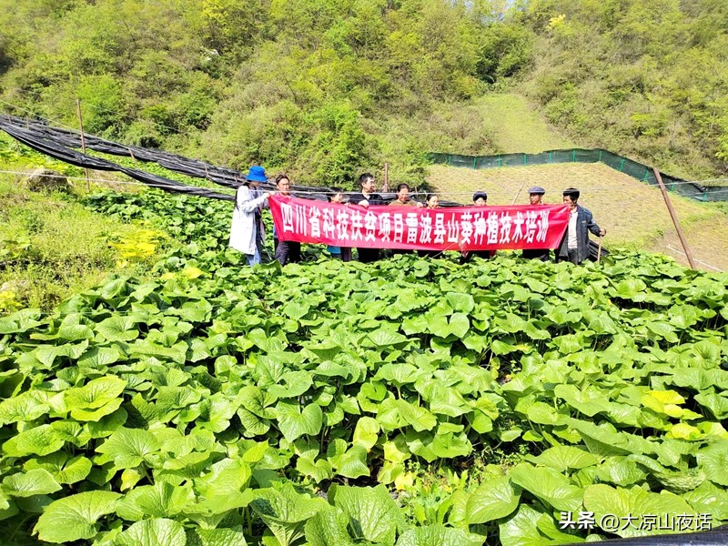 雷波县创业发展,雷波县好赚钱吗