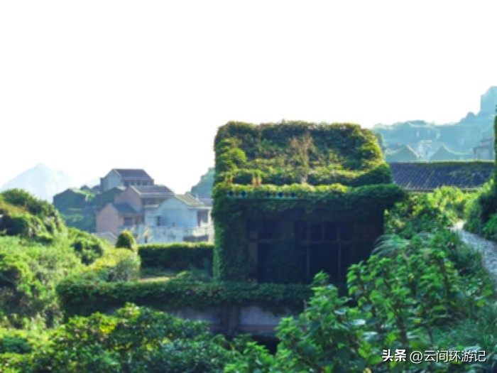 枸杞岛哪里看日落,去枸杞岛看蓝色的海