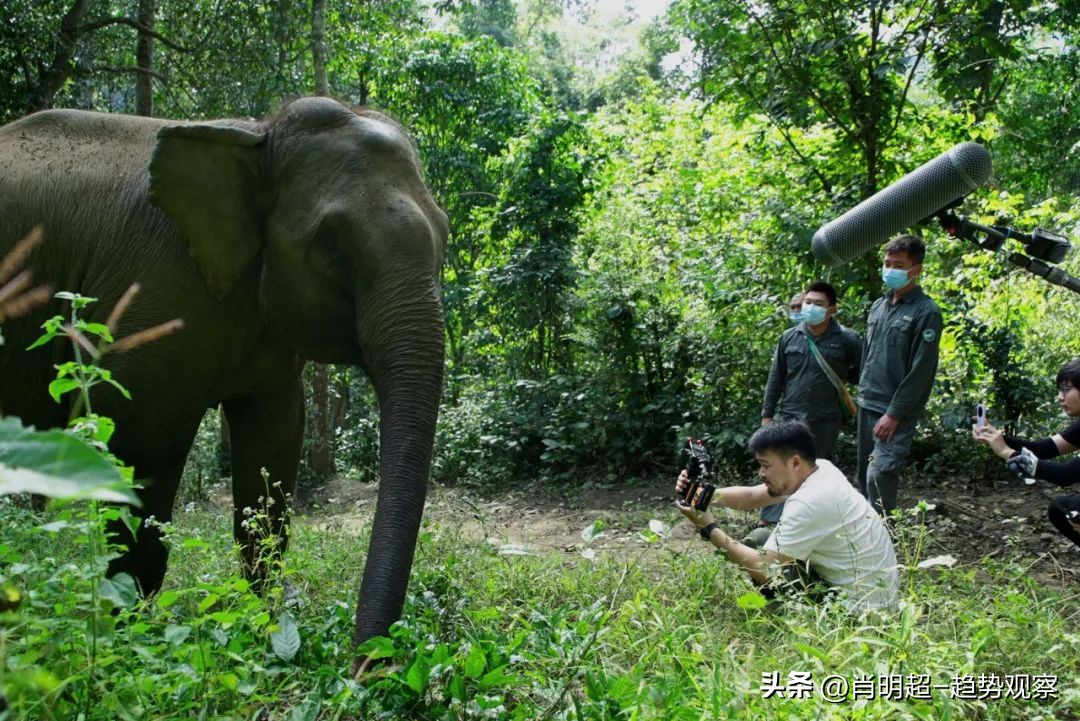 2019金鼠标营销,金鼠标网络营销案例
