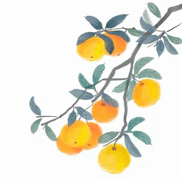 霜降经典宋词,霜降最好的诗句