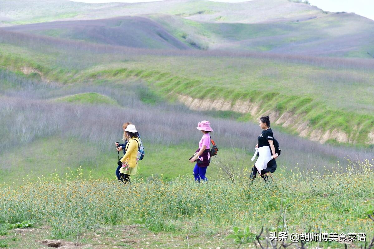 今年清明节放几天假上坟最佳日期,清明节是三月初一填坟有讲究吗