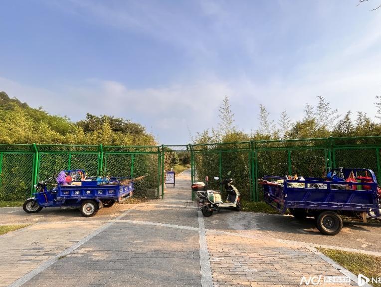 深圳淘金山绿道风铃溪谷还围挡吗,淘金山绿道风铃谷