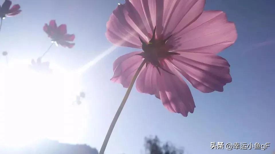 voicenoise的区别,voice和sound和noise的区别