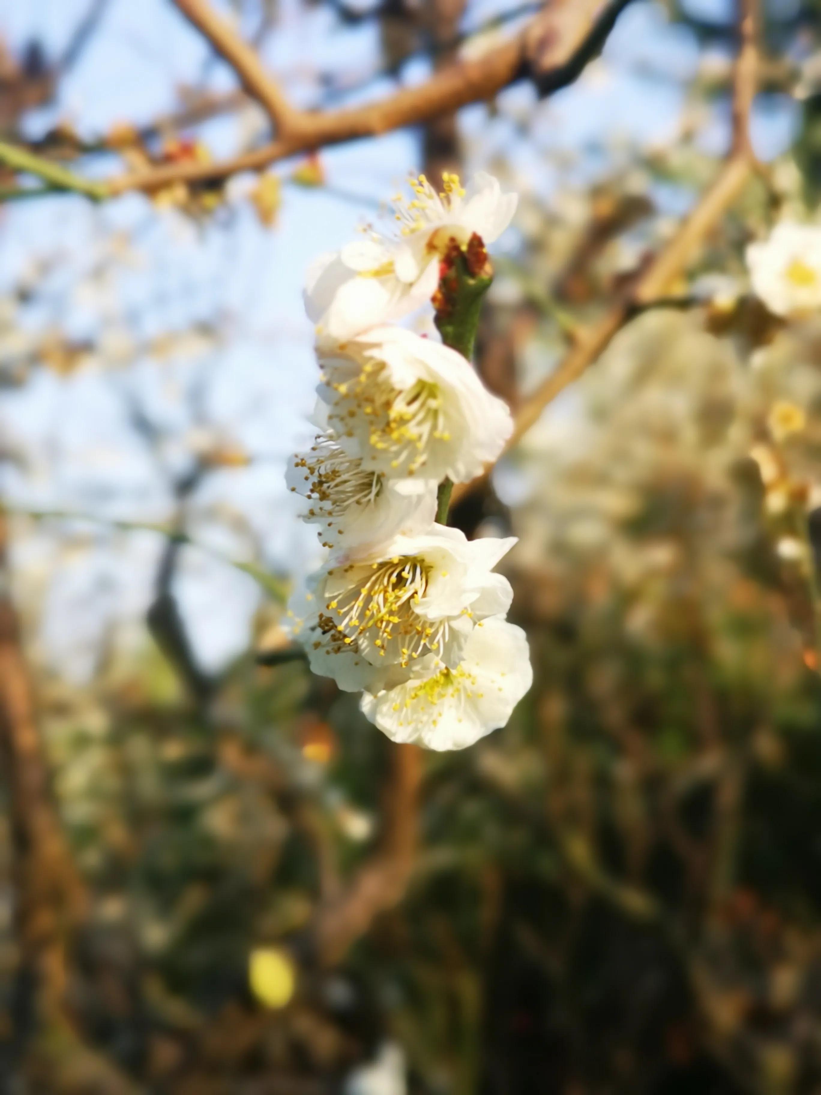 两岁读诗出口成章（天才养成计划之一）