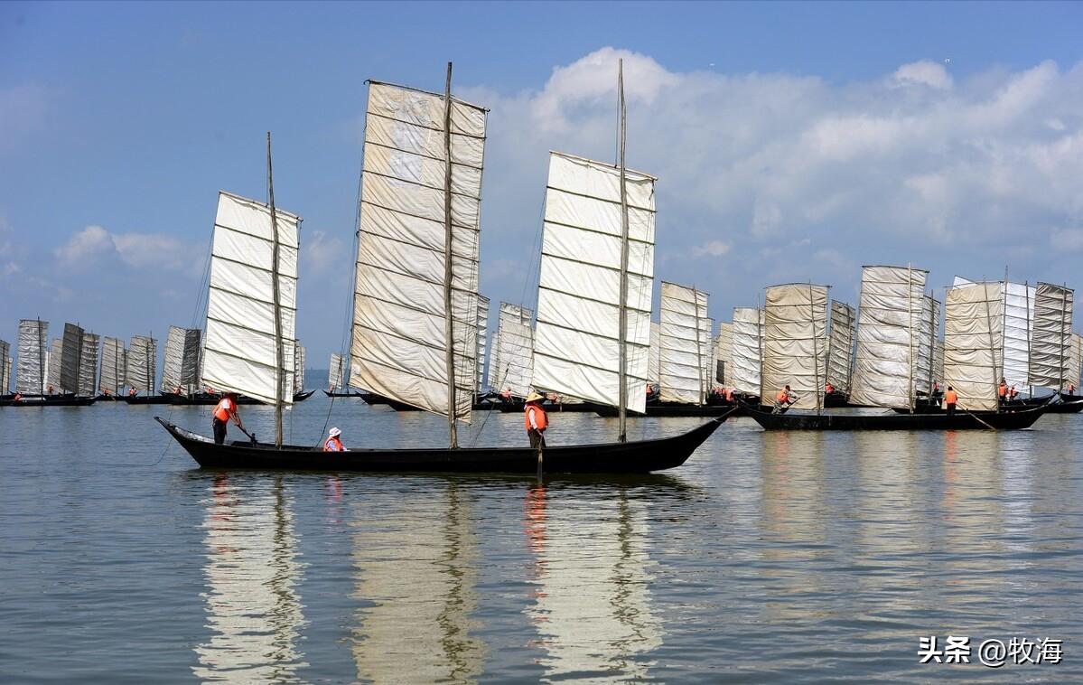 滇池蓝藻治理花费,官方回应滇池池水变绿蓝藻泛滥