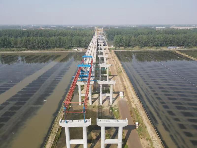 江苏沭阳交通工程建设获省政府通报表彰