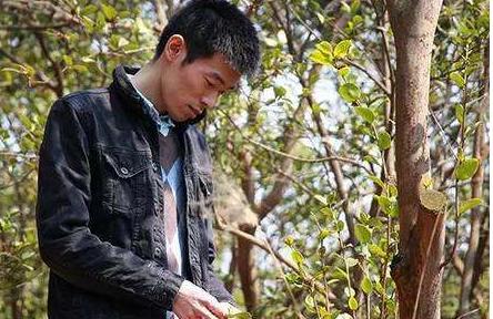 重庆小伙放弃月薪16万,耶鲁学霸放弃6位数年薪回乡