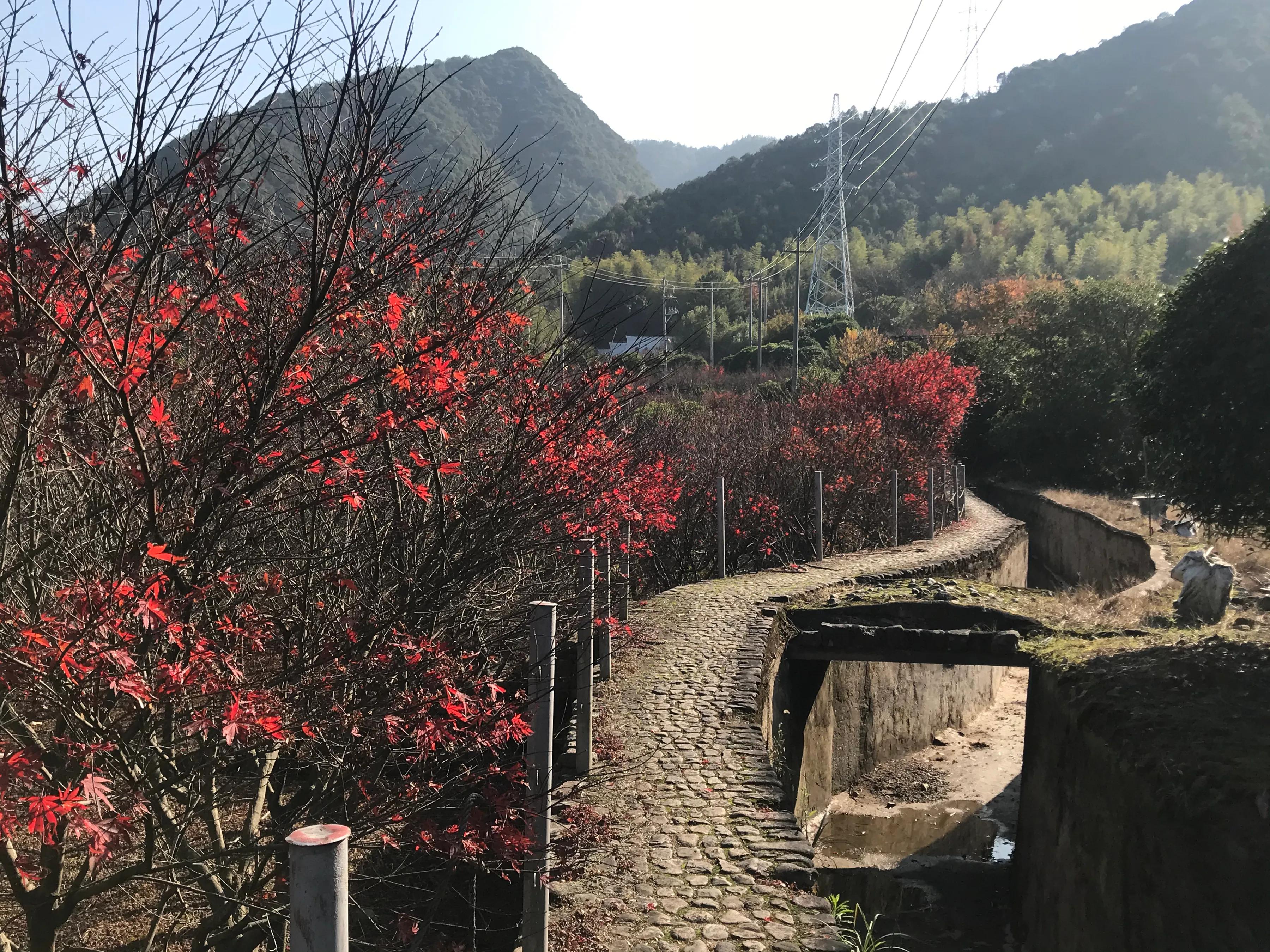 桐庐芦茨湾农家乐三日之行,桐庐县芦茨农家乐推荐