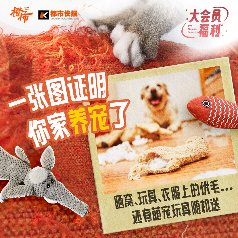 送你去蜂巢剧场过“话剧春晚”、养生筋膜枪、萌宠玩具，橙柿福利花式上新了！｜橙柿福利