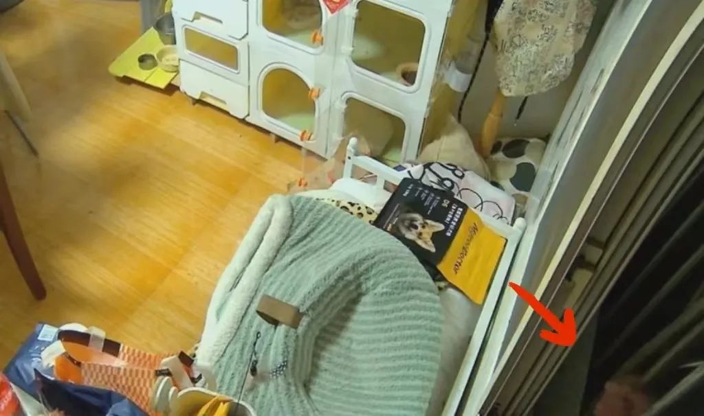 男子宿醉后醒了,男子梦游症发作