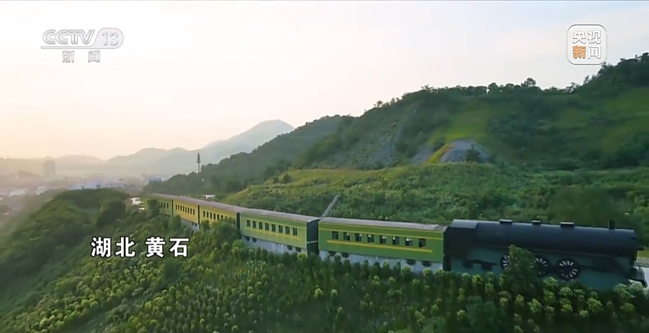 石缝种植植物,石缝种树