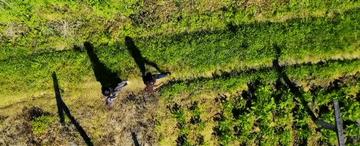 微视频,微视频大全