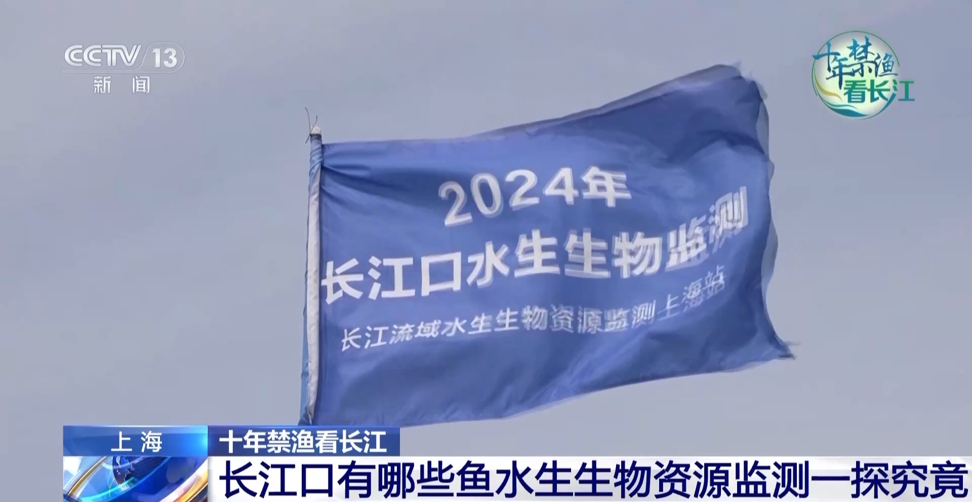 长江禁渔鱼类数据变化,长江禁渔三年多鱼儿们过得怎么样